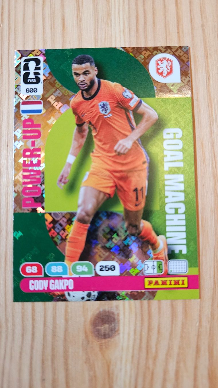 Panini Carte collezionabili: Adrenalyn XL – Nuovo (secondo la descrizione) da Reckingen VS venduto da cla_vjw5