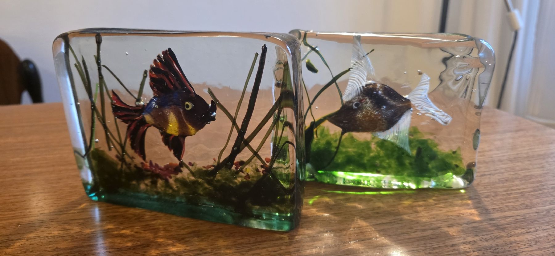 Murano Bicchieri: 2 Cenedese Aquarien, Murano – Usato da Solothurn venduto da Vivalamamma 2