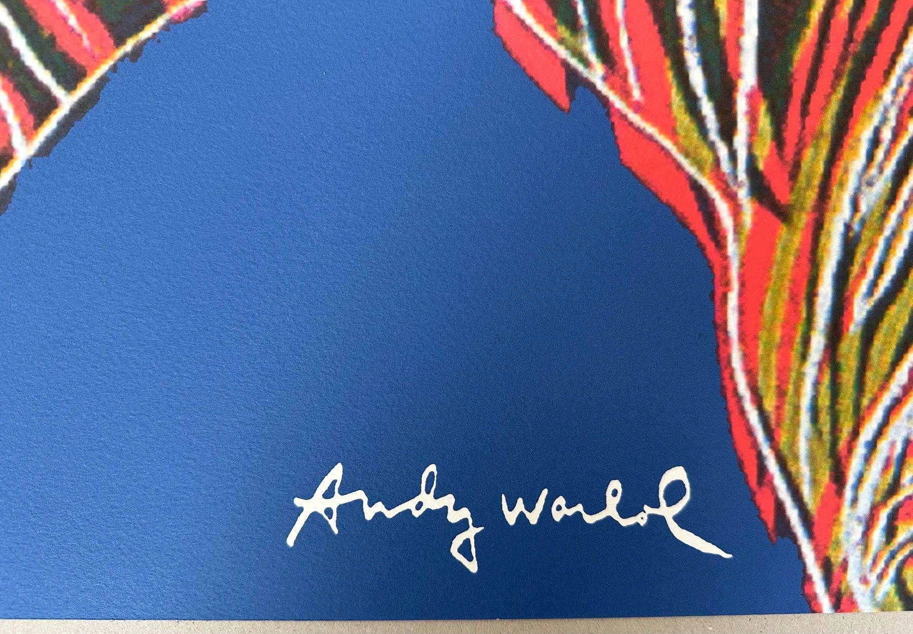 Foto & Immagini: Warhol: POP Art, Zebra 309/2400 – Nuovo (secondo la descrizione) da Meilen venduto da Smgdesign 2