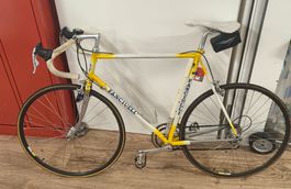Rennrad Fanciulli