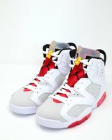 NIKE AIR JORDAN 6 Hare NEU