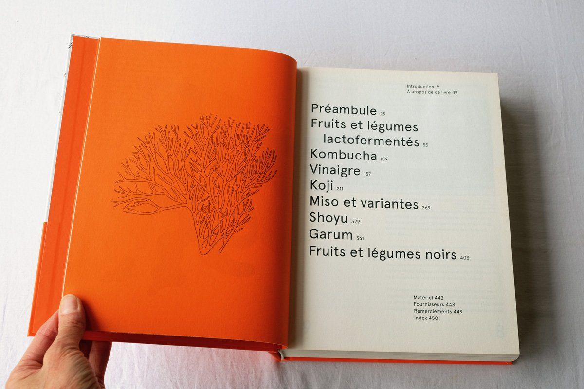 Livres: Le guide de fermentation du NOMA – D'occasion à Morgins par Laurentcorinne 3