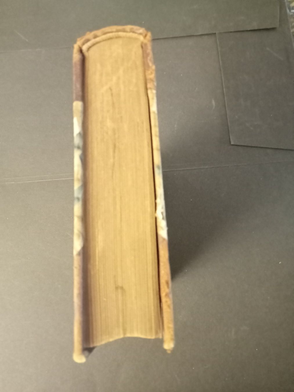 Bücher: Schiller's Werke sechster Band Gera 1897 – Gebraucht aus Luzern von Einh0rn 9
