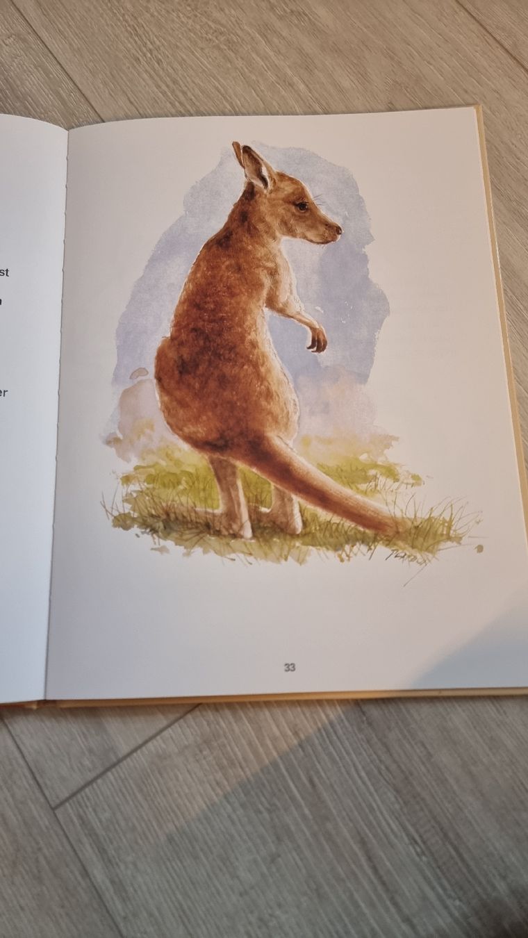 Libri: old Billys Zaubertal – Usato da Wigoltingen venduto da Zuckerfee84 2