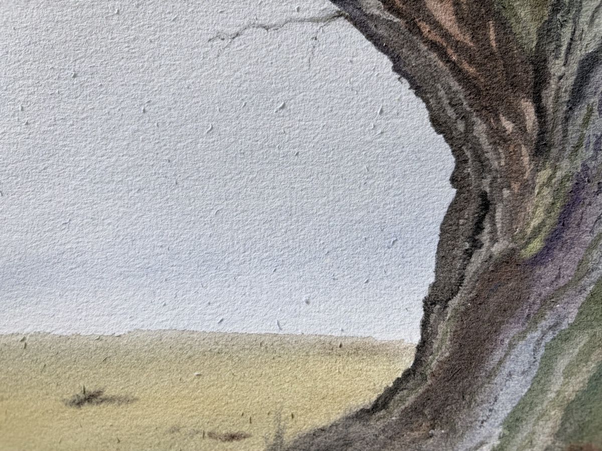 Gemälde: Die alte Eiche. Aquarell 2026. – Neu (gemäss Beschreibung) aus Meggen von My_art_for_you 6