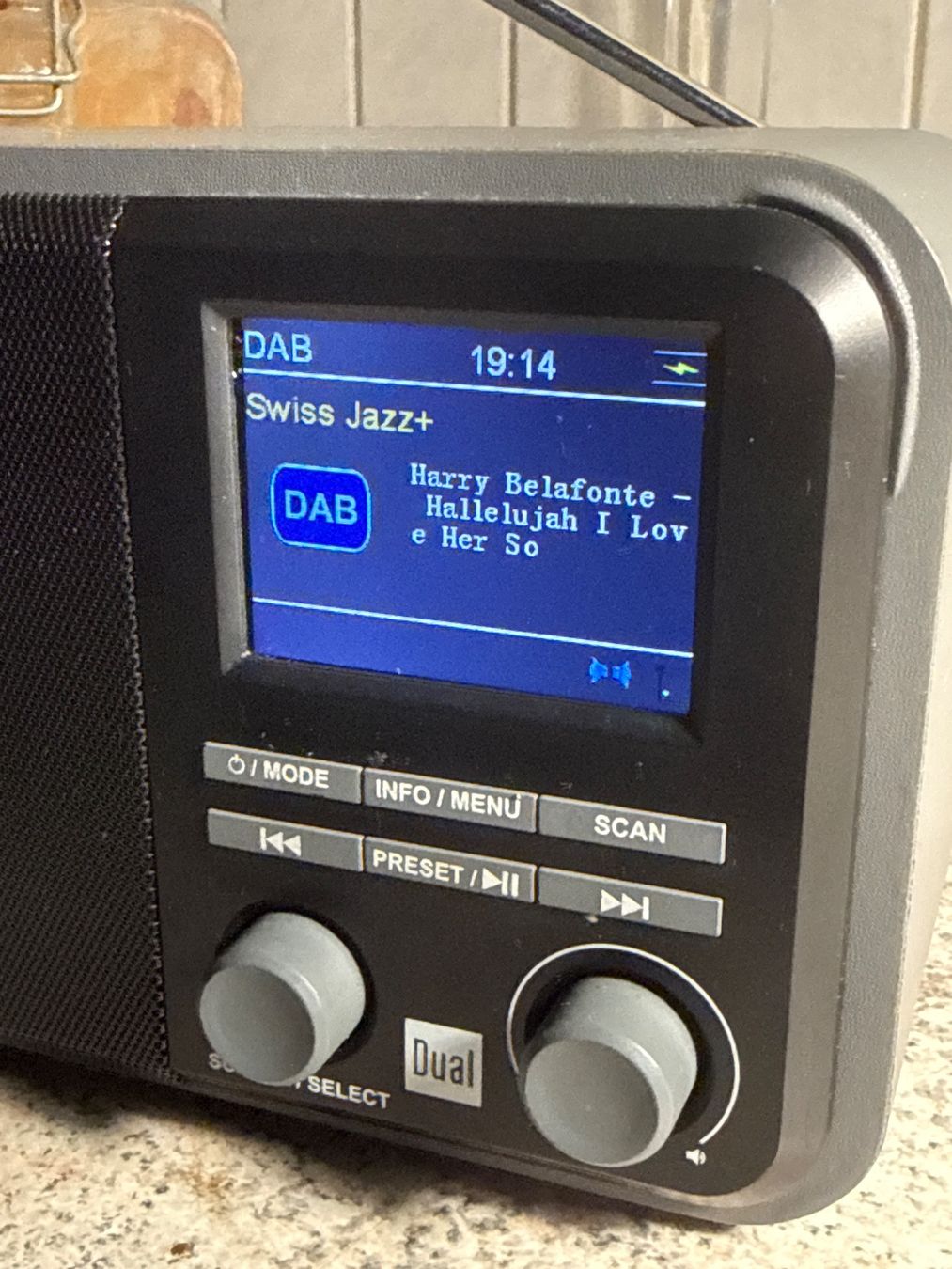 Radios: Radio DAB 51 DUAL – Gebraucht aus St imier von sav_bjf9 6