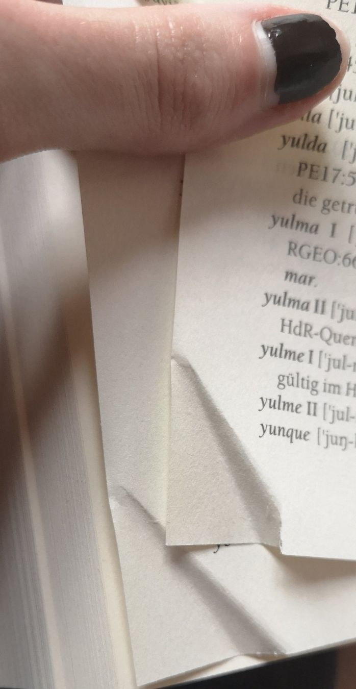 Bücher: Das grosse Elbisch Buch, Deutsch – Gebraucht aus Ibach von FlyingFox26 4