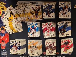 SportZoo National League 25/26 – Mega Insert Lot
