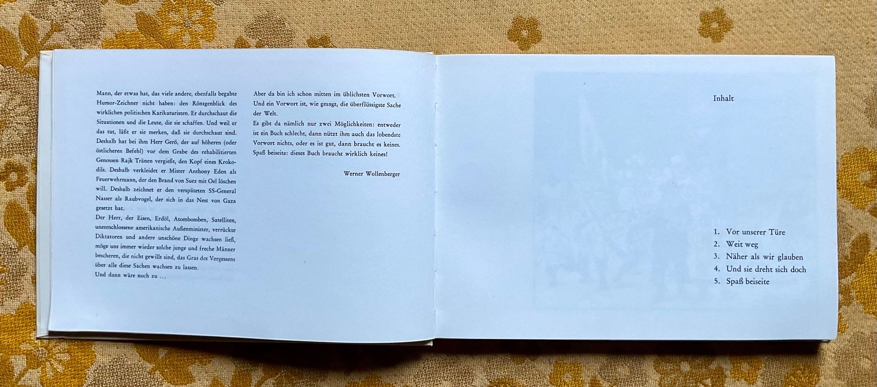 Libri: Satire Buch Spass Beiseite – Usato da Endingen venduto da nathan05 5