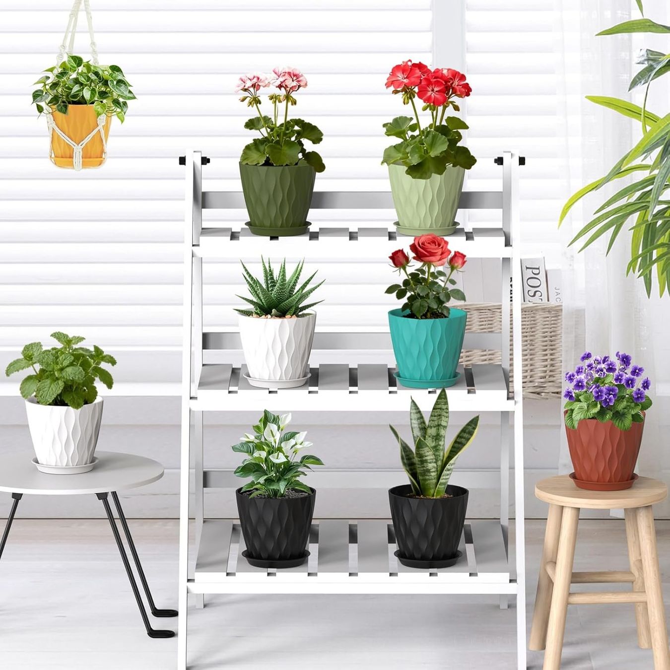 Vasi per fiori: Blumentöpfe 8er Set Pflanztöpfe mit Untersetzer Schwarz – Nuovo e nell'imballaggio originale da Neuhausen venduto da apo_zn9s 1