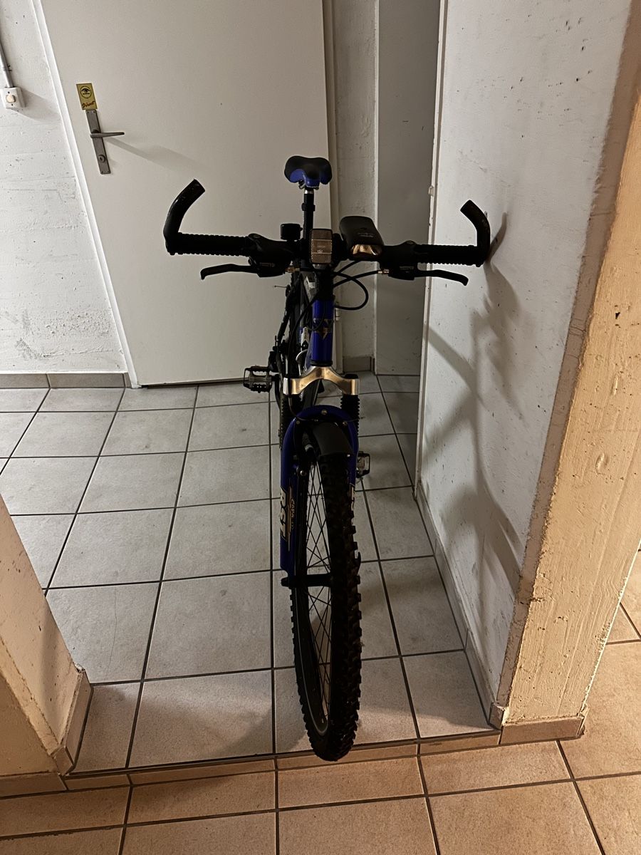 Wheeler Biciclette: Velo ab 1.- – Usato da Buochs venduto da MilaMilagro 1