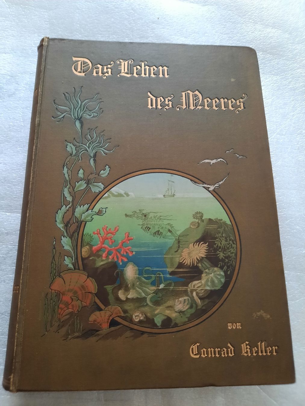 Libri: KELLER, Conrad: Das Leben des Meeres – Usato da Biasca venduto da Old_6blh 8