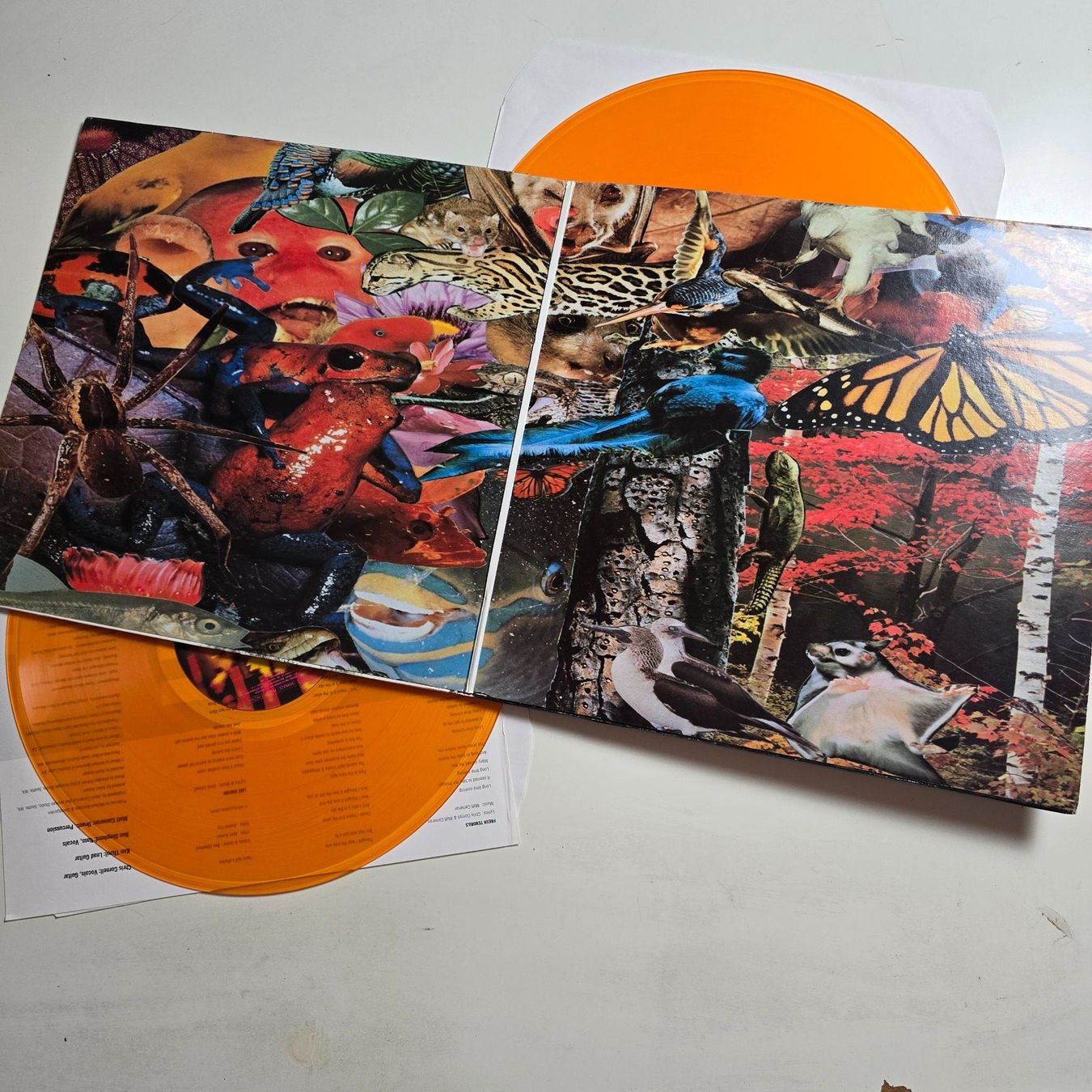 Dischi in vinile: Soundgarden – Superunknown – Usato da Grafenried venduto da House-of-Oldies 2