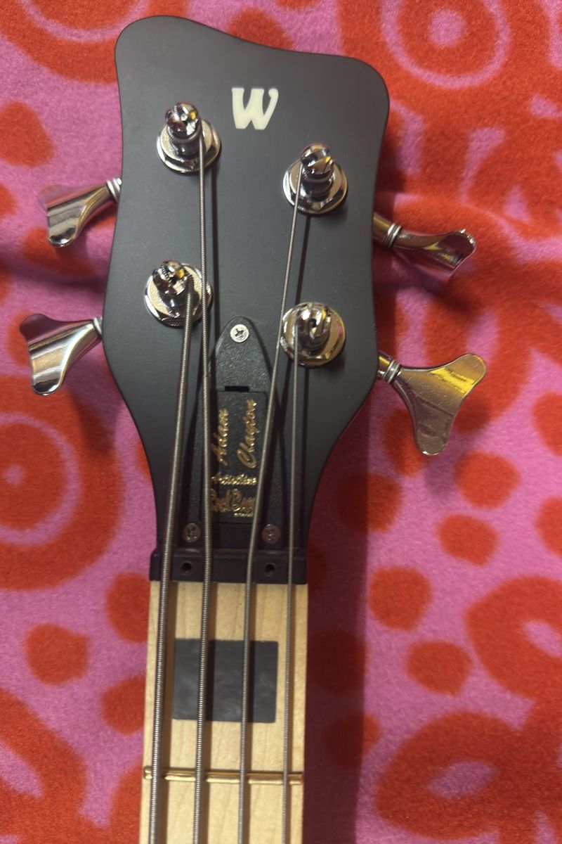 Strumenti musicali: Warwickbass – Usato da Romanshorn venduto da Senit 1