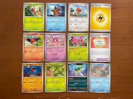 Pokemon 12er Karten Set (Versand gratis)