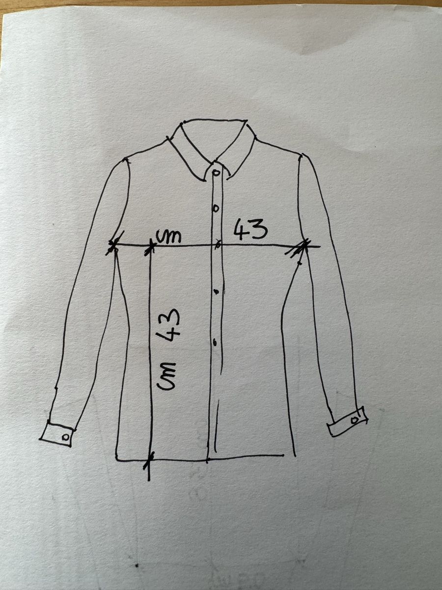 Blusen: Neue Seidenbluse gr 36 – Neu (gemäss Beschreibung) aus Zürich von Manubene 7