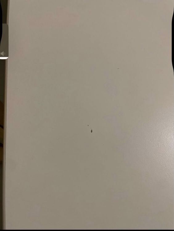 Scrivanie: 2x Bürotisch/Schreibtisch 160x80 identisch – Usato da Stetten AG venduto da Sirius_28 5