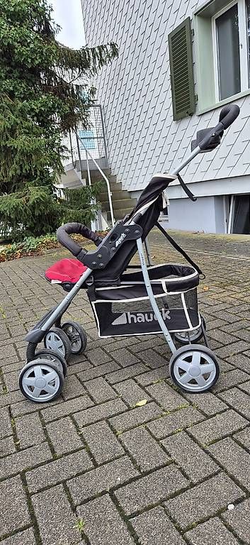 Carrozzine: Kinderwagen (Buggy von Hauck) – Usato da Neuenhof venduto da Deluxesoul 2