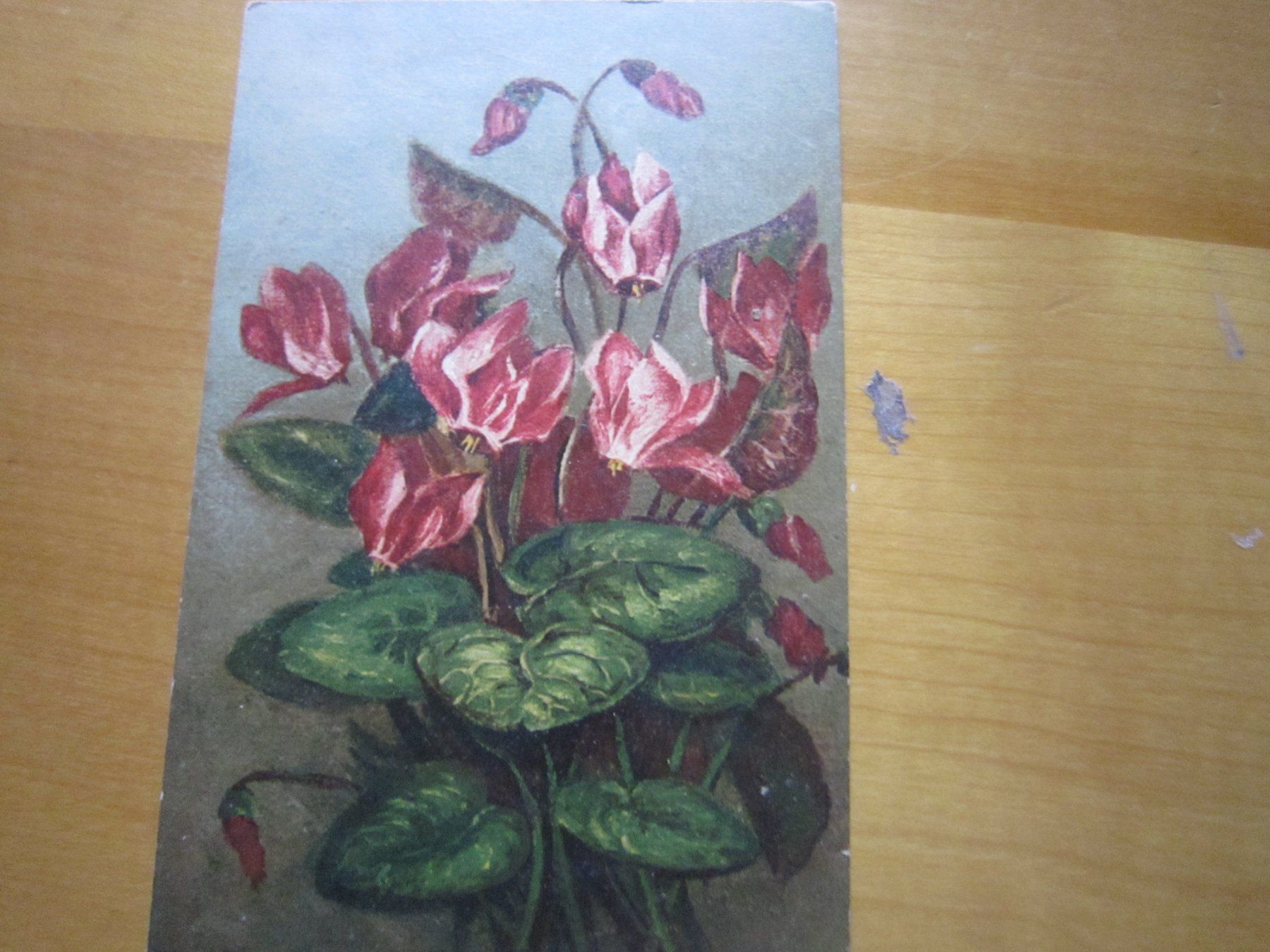 Cartoline postali: No1 schöne Postkarte Blumen 193x – Usato da Gordola venduto da Polentaefung