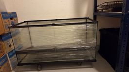 Terrarium Glas schwarz sehr guter Zustand