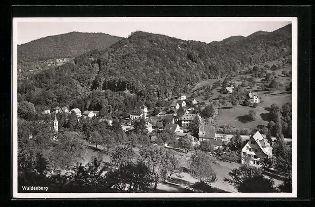 Cartoline postali: Waldenburg, Gesamtansicht der Ortschaft – Usato da Berlin venduto da bartko-reher
