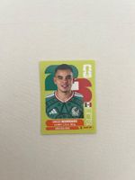 Panini MEX 9