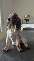 Cocker Spaniel 28 cm Porzellan Cluj Napoca Cervit Rumänien