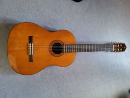 Akkustik Gitarre