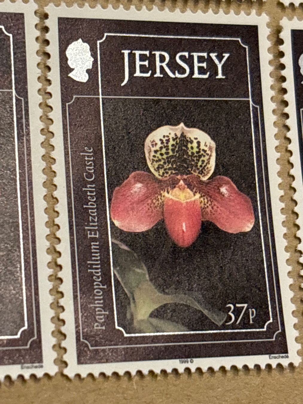 Tutti i francobolli: 6 Jersey Orchideen Briefmarken, 1990er – Nuovo (secondo la descrizione) da Zürich venduto da engebrunau 1