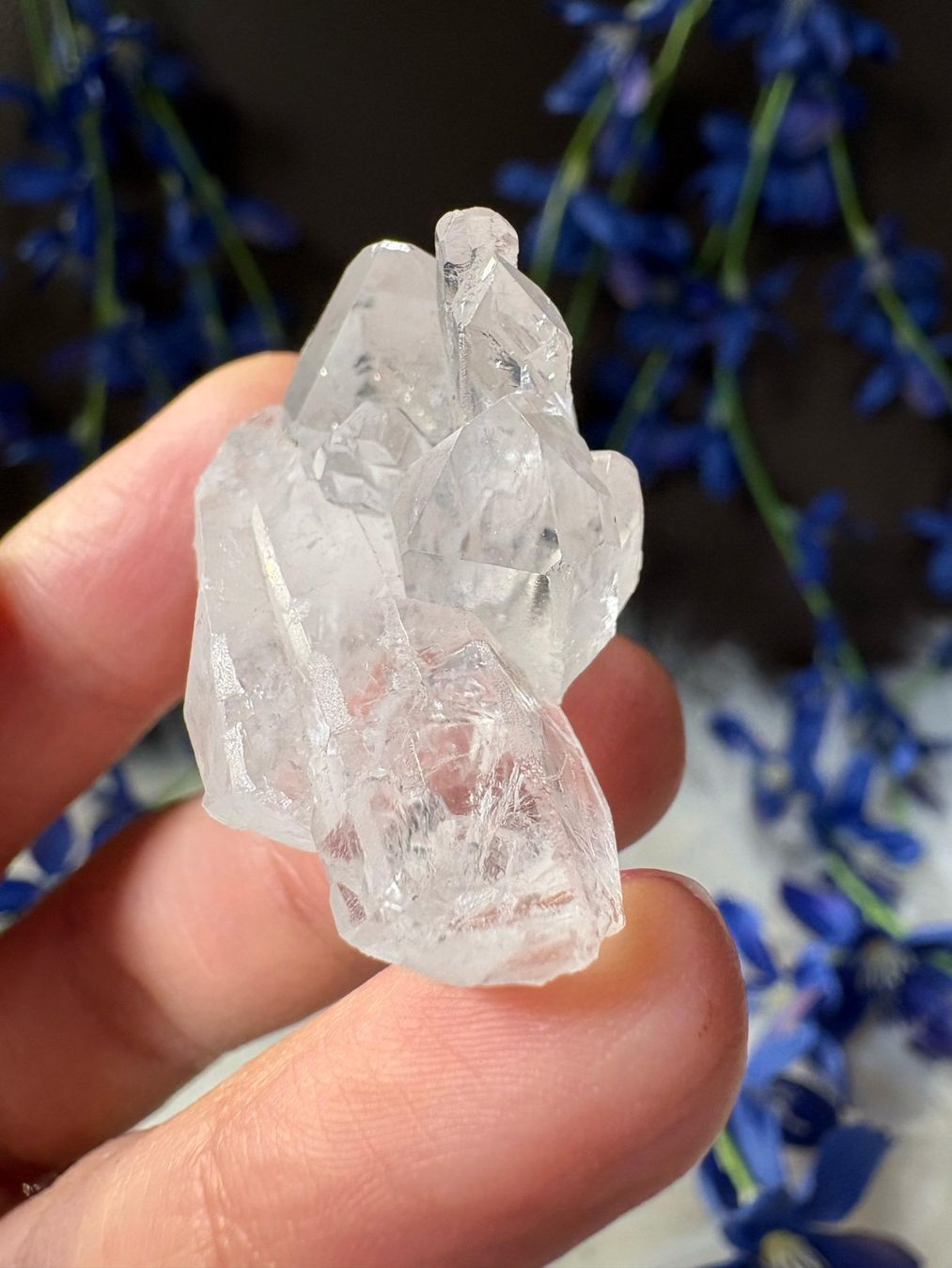 Minerali & Pietre curative: Lemurian-Quarz-Cluster – Nuovo (secondo la descrizione) da Neuheim venduto da m.hald 2