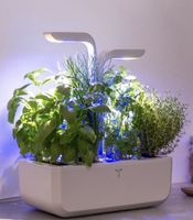 Véritable Classic Indoor-Garten