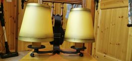 Wandlampe mit 2 Leuchten