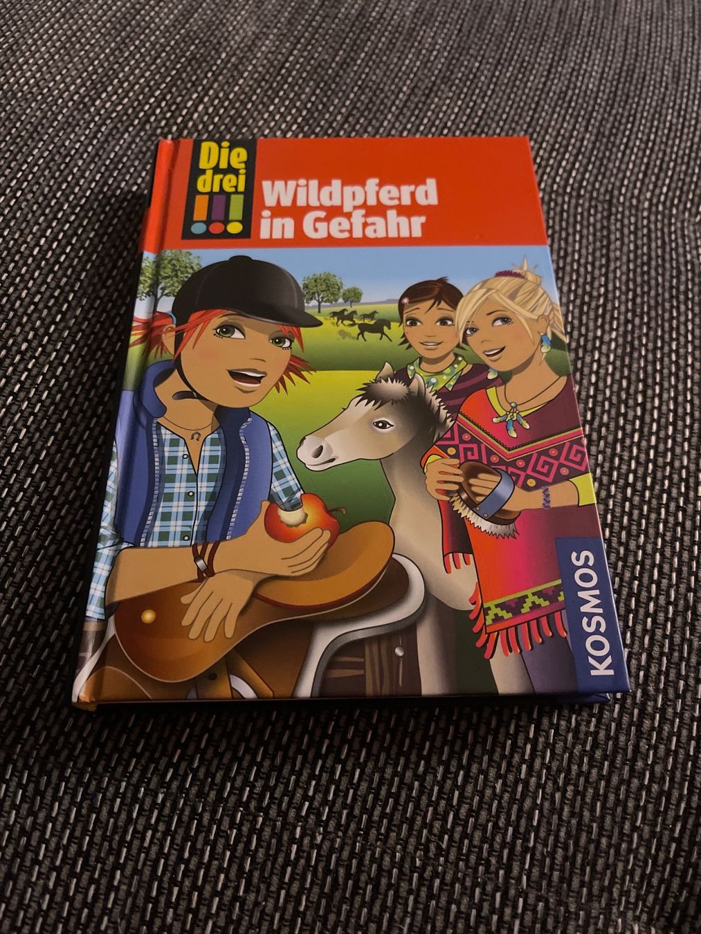Libri: Die 3!!! Wildpferde in Gefahr – Usato da Samstagern venduto da Katinka8