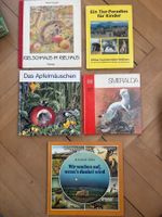 5 Tierbücher für Kinder