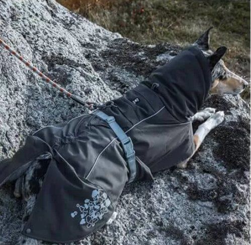 Abbigliamento: Wintermantel – Usato da Gunzwil venduto da peyerje 6