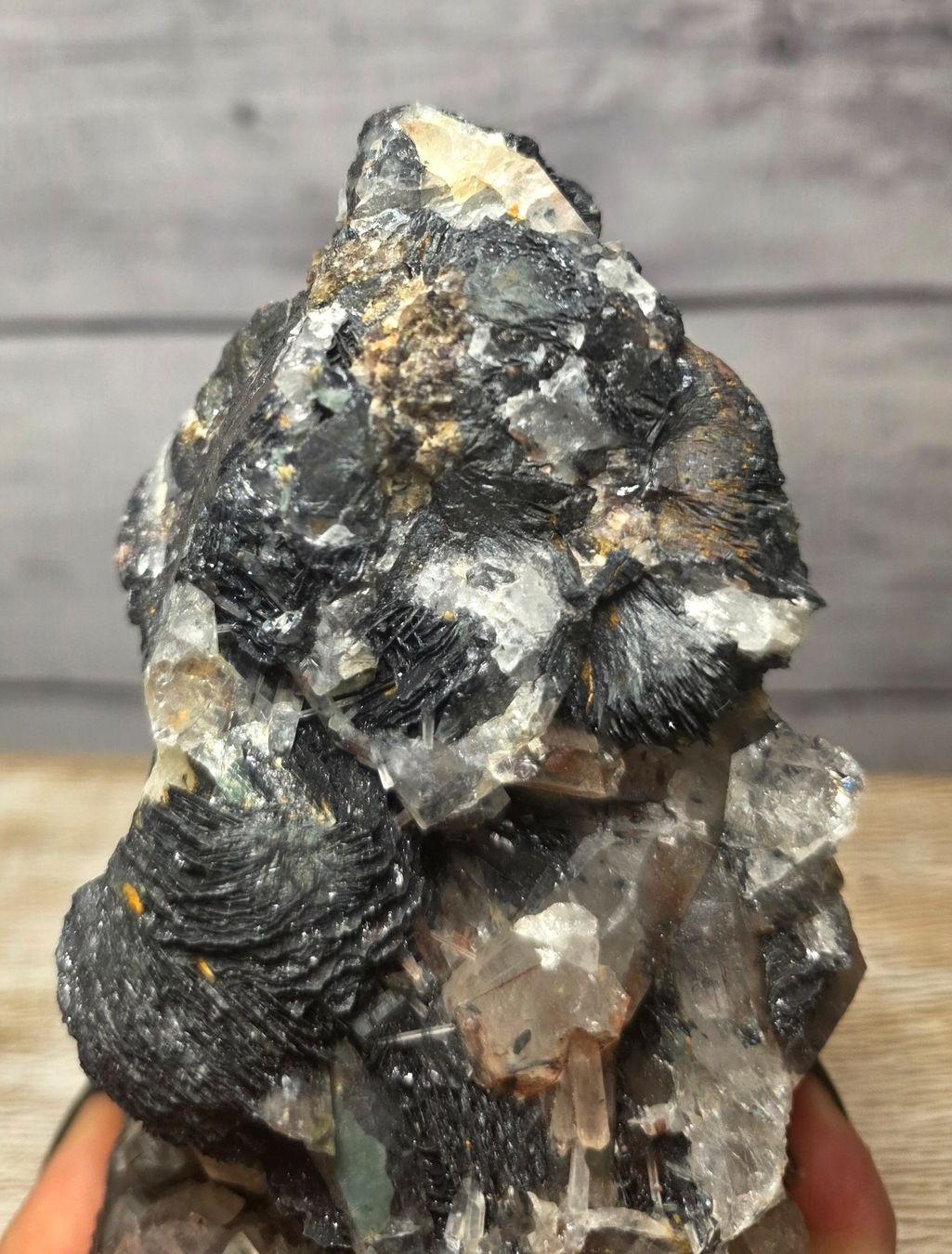 Minerali & Pietre curative: Specalurit Stufe 1.37kg – Nuovo e nell'imballaggio originale da Matzingen venduto da Shay_Crystalz 3
