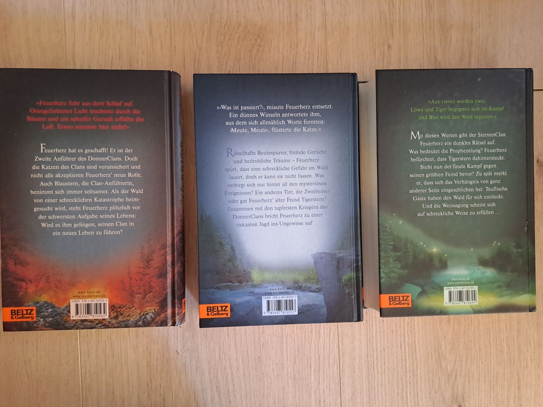 Libri: Warrior Cats Staffel 1 Band 4-6 – Usato da Untereggen venduto da ros_kz89 1