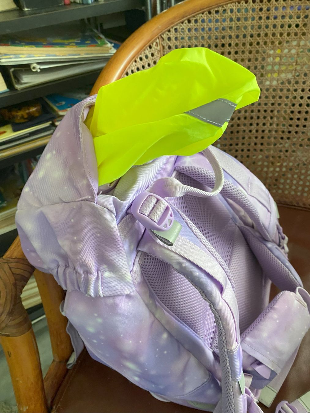 Borse & Zaini: Schulrucksack – Usato da Sachseln venduto da basti1950 3