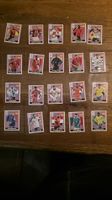 Panini WM 2026 Extra Sticker SET PINK ALLE 20 STK AB 1.- 
