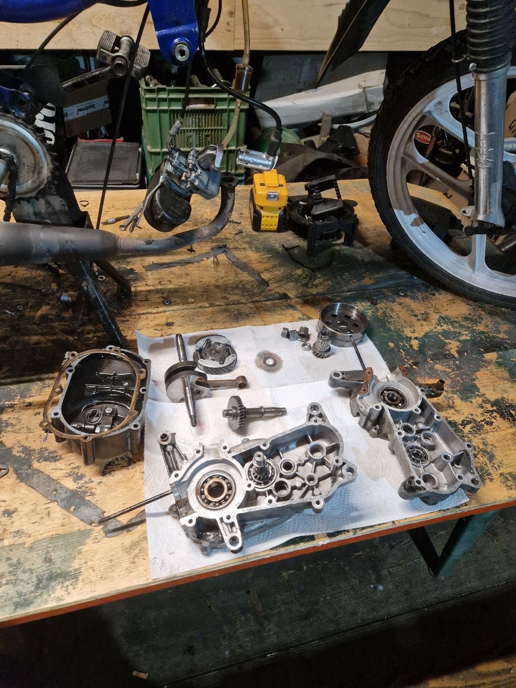 Pony Mofas: Pony GTX – Gebraucht aus Wikon von DaniPro 2