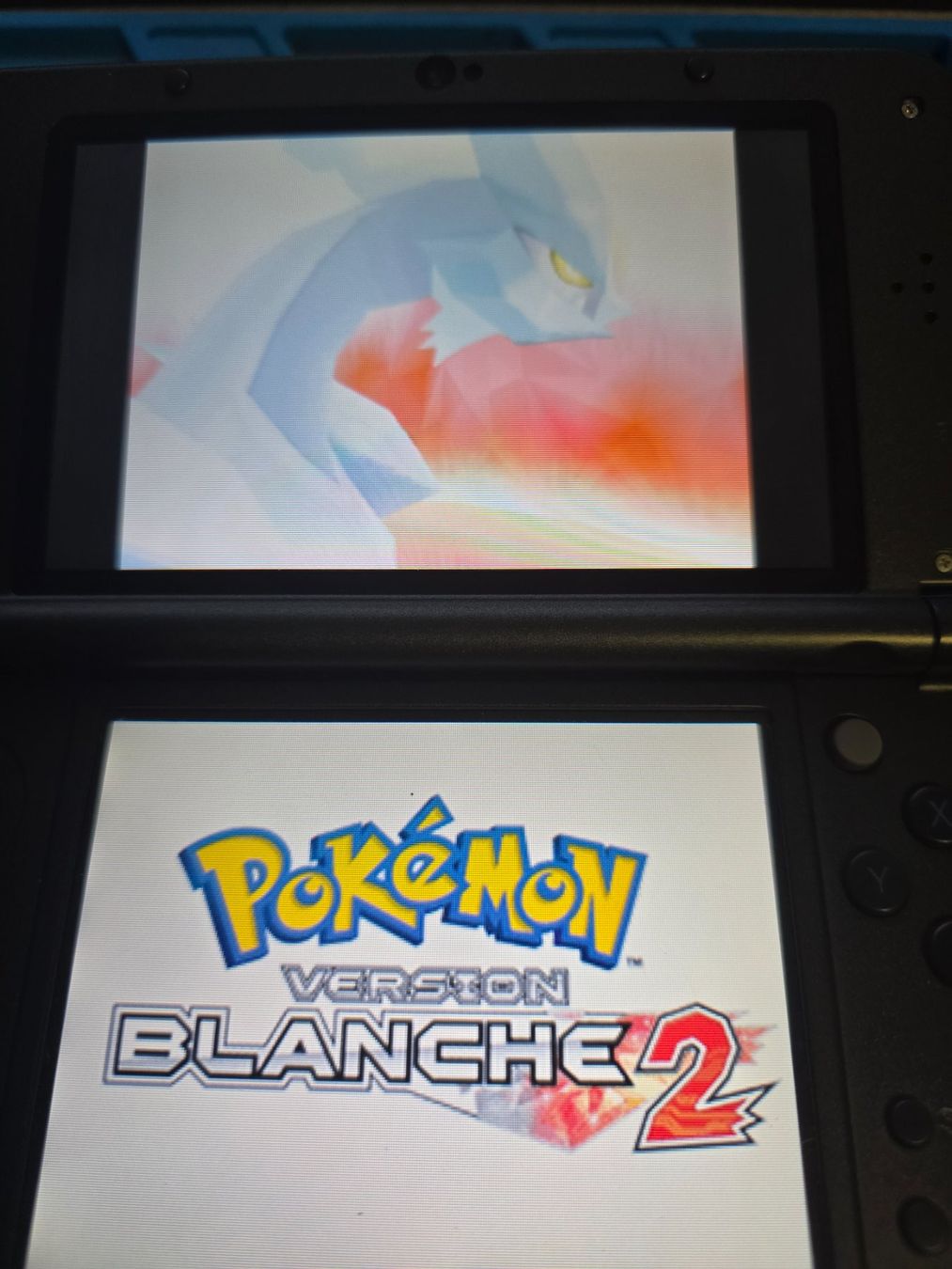 Pokémon Giochi: Pokémon Version Blanche 2 Nintendo DS – Usato da Matten b. Interl venduto da Gameplus 2