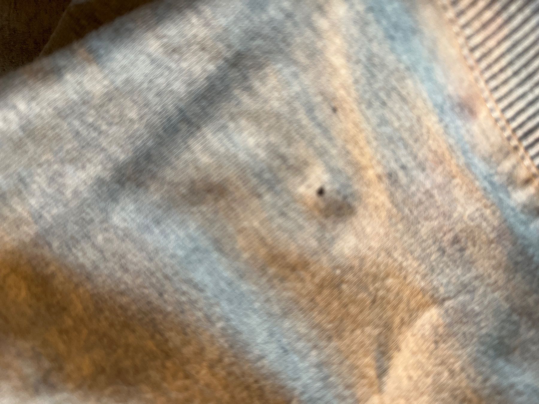 Armani Maglioni & Felpe: Armani Junior Sweatshirt, Mädchen, Gr.140 – Usato da Nürensdorf venduto da 2ND_STORY 4