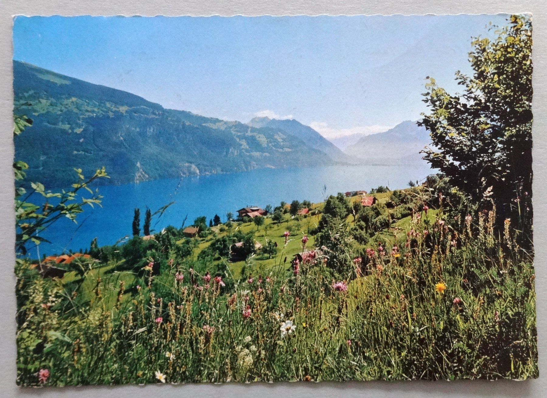 Cartoline postali: Krattigen (B.O.) – Usato da Fétigny venduto da Billy2miny