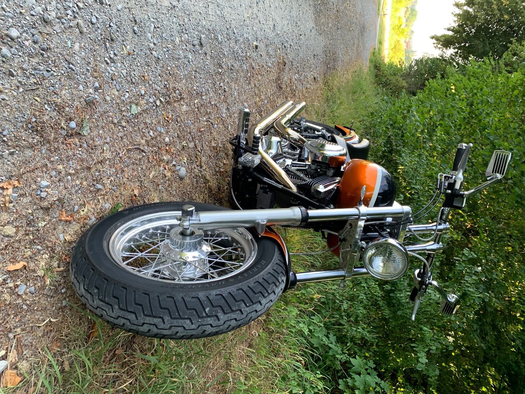 Harley-Davidson Chopper: Harley Softail Custom – Usato da obfelden venduto da kaktus1331 2