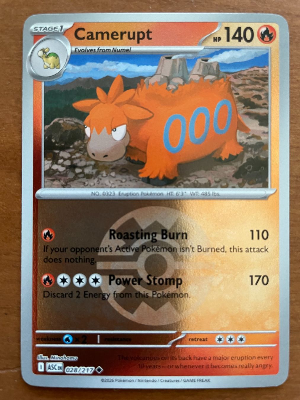 Pokémon Carte collezionabili: Pokemon Camerupt Reverse (Versand gratis) – Nuovo (secondo la descrizione) da Chur venduto da Angerson