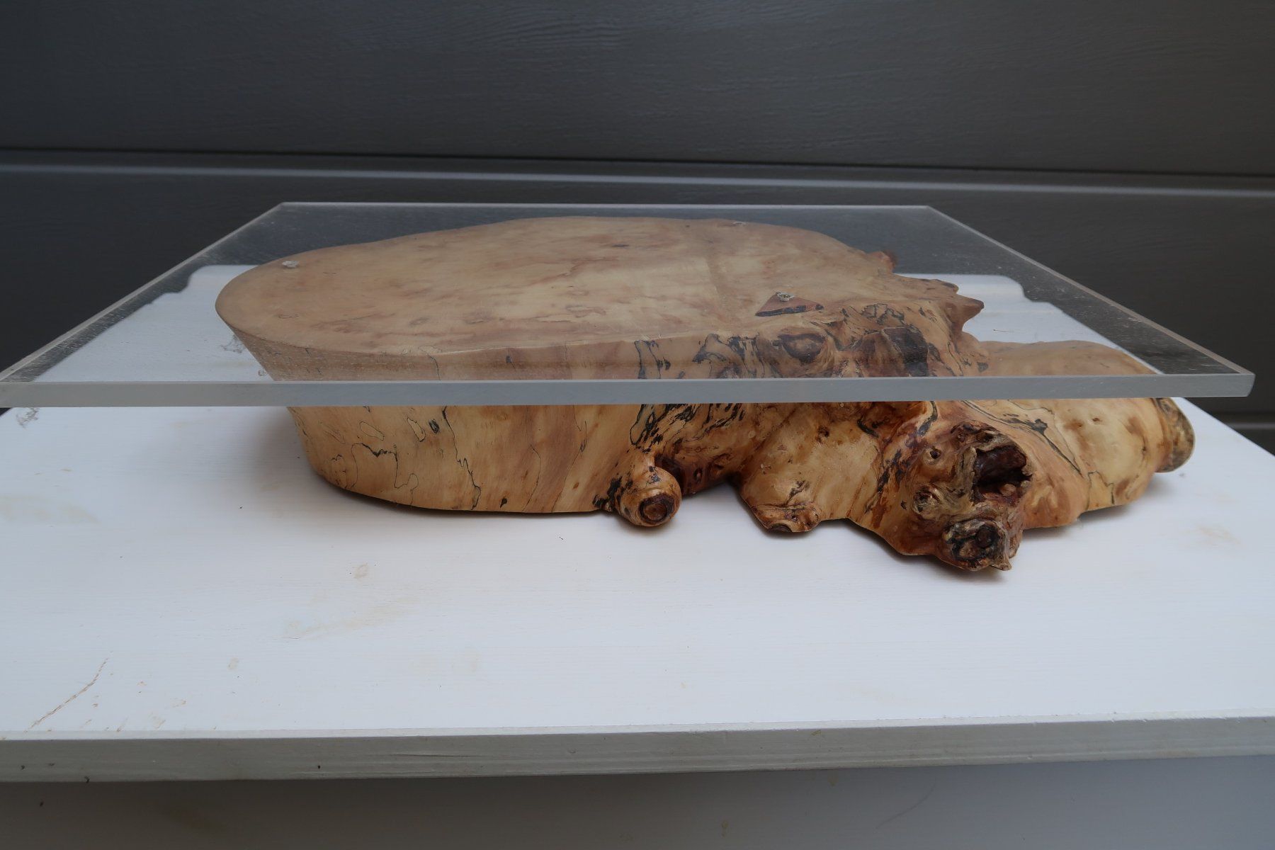 Articoli in legno: Bonsai – Nuovo (secondo la descrizione) da Büsserach venduto da Petiteplante