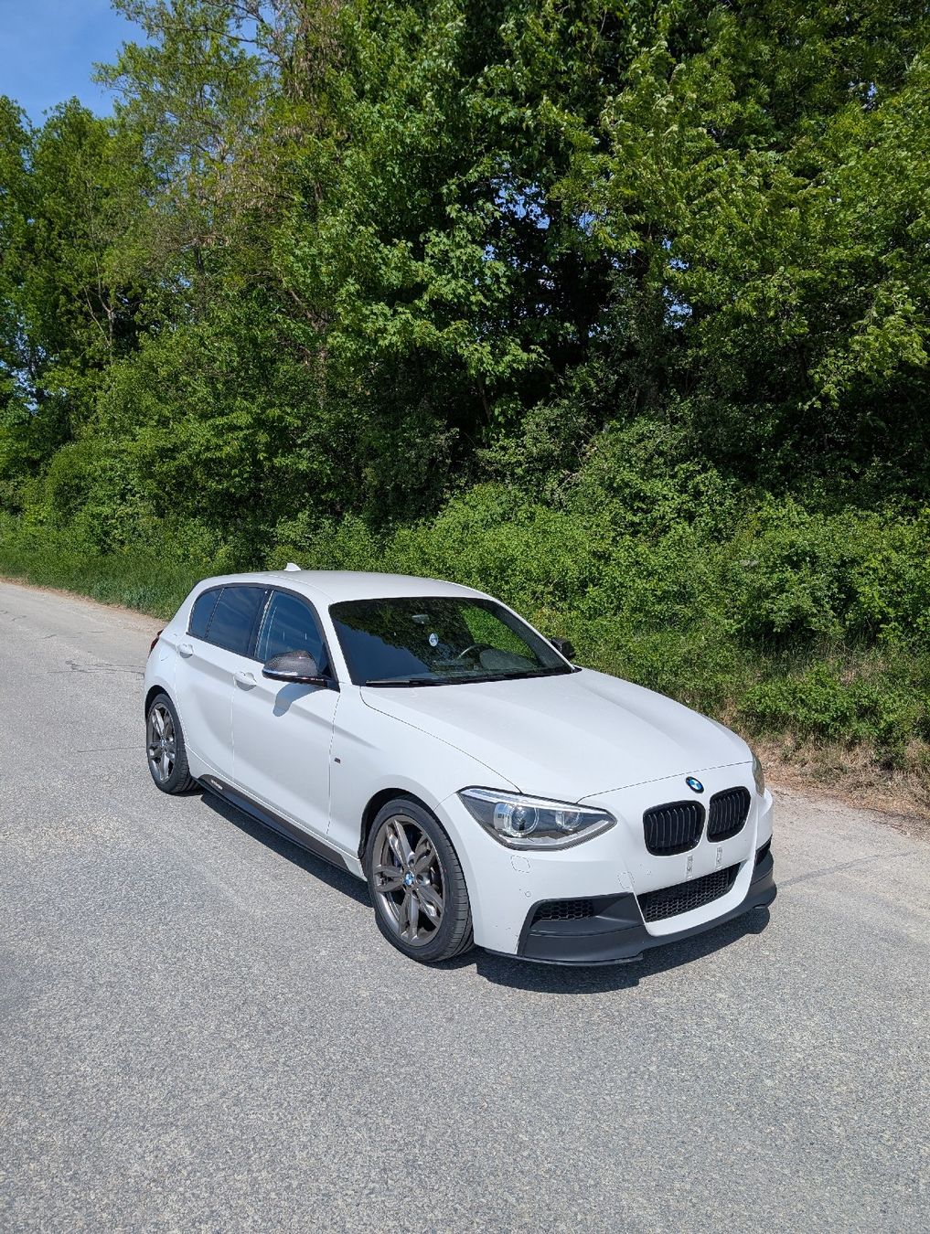 BMW Automobili: BMW M135i xDrive – Usato da Wichtrach venduto da Bujasi 2