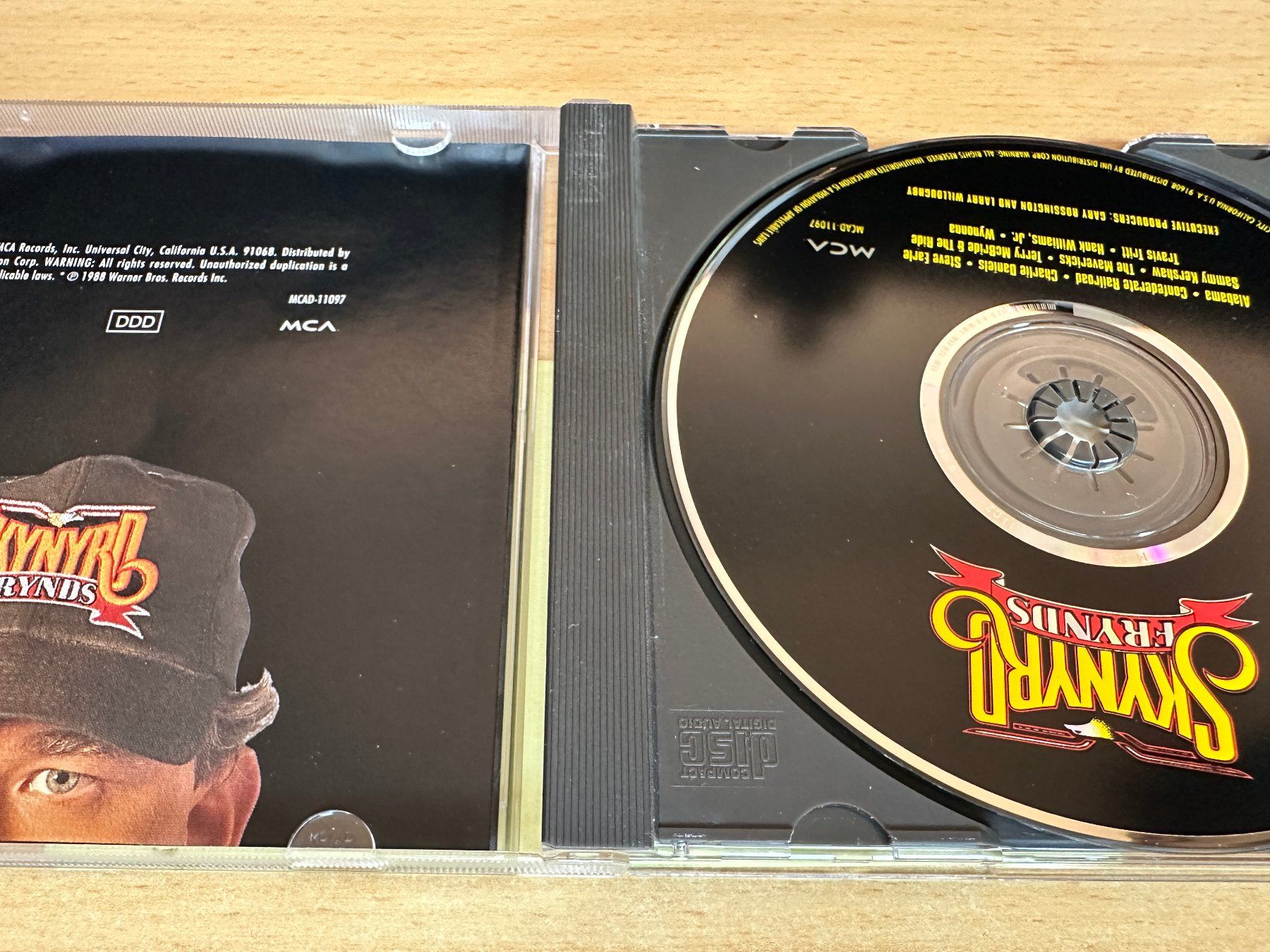 CDs: Various – Skynyrd Frynds – Gebraucht aus Rikon im Tösstal von Alpenmutz 2