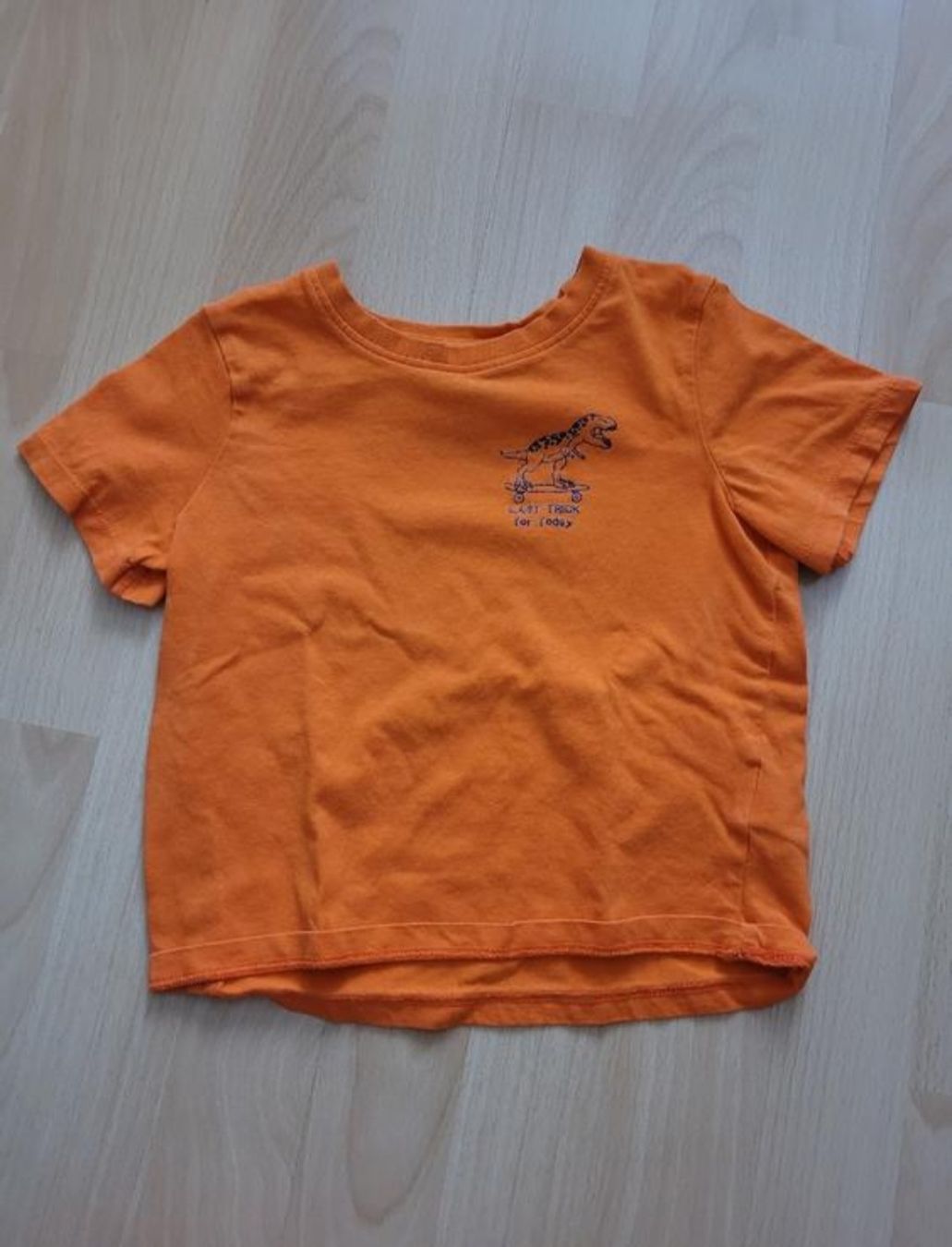 Camicie, T-shirt & Polo: T-Shirt Dino gr. 98 – Usato da Inwil venduto da Flower2325