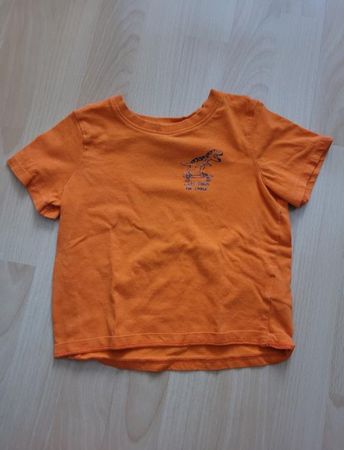 T-Shirt Dino gr. 98